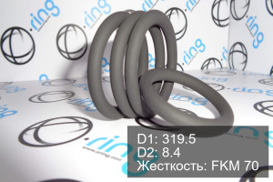 Кольцо уплотнительное O-RING 319.5x8.4 FKM 70