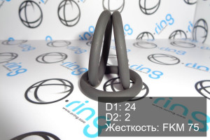 Кольцо уплотнительное O-RING 24x2 FKM 75