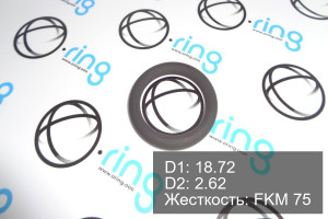 Кольцо уплотнительное O-RING 18.72x2.62 FKM 75