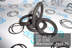 Кольцо уплотнительное O-RING 25.07x2.62 FKM 75