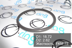 Кольцо уплотнительное O-RING 18.72x2.62 FKM 75