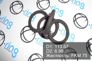 Кольцо уплотнительное O-RING 113.67x6.99 FKM 75