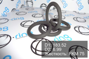 Кольцо уплотнительное O-RING 183.52x6.99 FKM 75