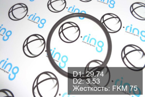 Кольцо уплотнительное O-RING 29.74x3.53 FKM 75