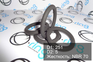 Кольцо уплотнительное O-RING 251x5 NBR 70